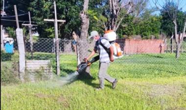 Comuna de Videla//A lo largo de los últimos 15 días, venimos realizando la fumigación en las manzanas dónde surgen los casos positivos de dengue, tal como lo indica el protocolo. 
