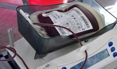 14 de Junio se celebra el Día Mundial del Donante de Sangre 
