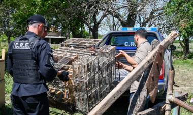 Control de Fauna: más de 300 aves liberadas en Villa Ocampo