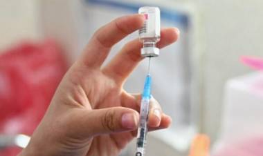 FESTRAM reclama la inclusión del sector municipal al Programa “Objetivo Dengue”