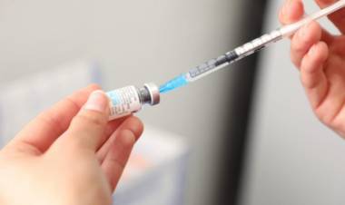 Objetivo Dengue: Santa Fe ya vacunó a 50.000 personas   