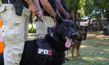 Perros campeones de la PDI: brindaron detalles sobre la destacada participación en el Campeonato Argentino