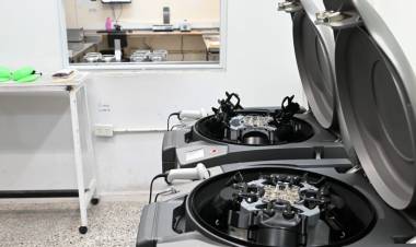 Hemoterapia: con inversión y más de 200 colectas al año, Santa Fe consolida su modelo basado en la donación voluntaria de sangre