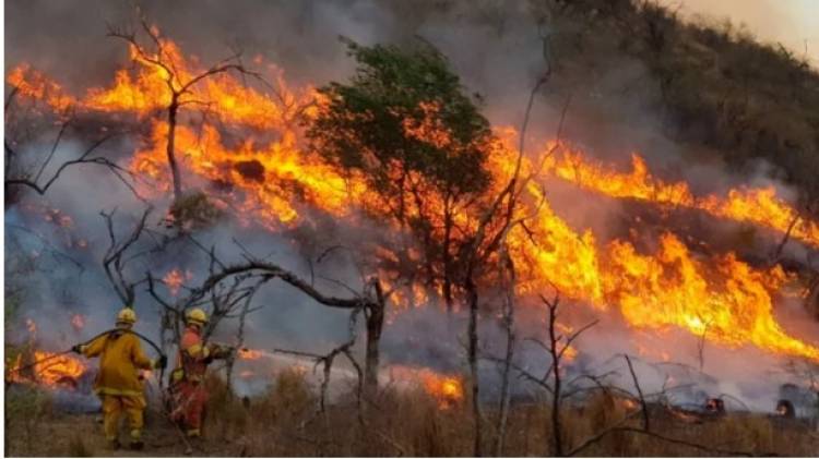 Los incendios forestales siguen sin dar tregua en Córdoba